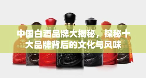 中国白酒品牌大揭秘，探秘十大品牌背后的文化与风味