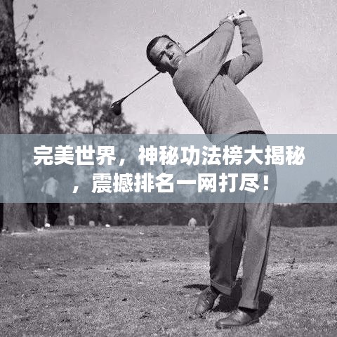 完美世界，神秘功法榜大揭秘，震撼排名一网打尽！