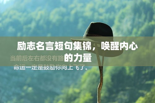 碧瓦飞甍