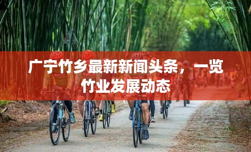 广宁竹乡最新新闻头条，一览竹业发展动态