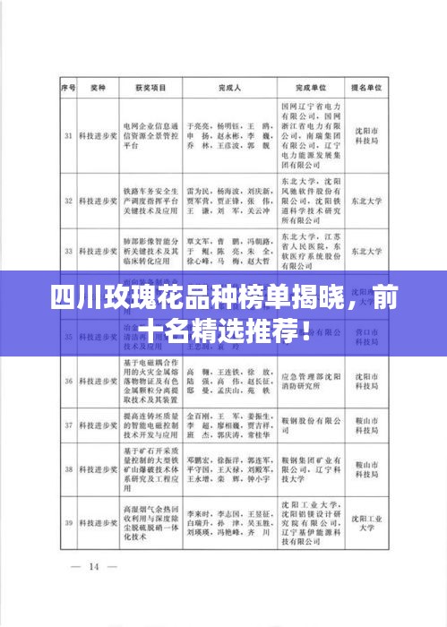 四川玫瑰花品种榜单揭晓，前十名精选推荐！