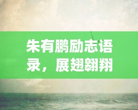 朱有鹏励志语录，展翅翱翔，梦想翅膀的力量