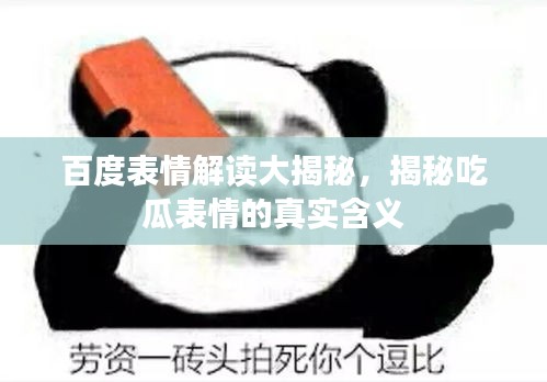 百度表情解读大揭秘，揭秘吃瓜表情的真实含义