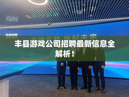 丰县游戏公司招聘最新信息全解析！