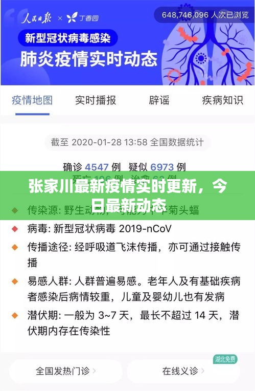 张家川最新疫情实时更新，今日最新动态