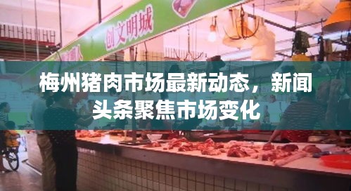 梅州猪肉市场最新动态，新闻头条聚焦市场变化