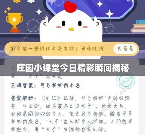 庄园小课堂今日精彩瞬间揭秘