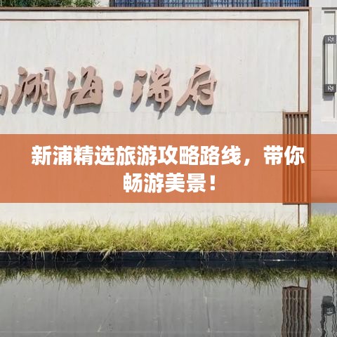 新浦精选旅游攻略路线，带你畅游美景！