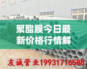 聚酯膜今日最新价格行情解析
