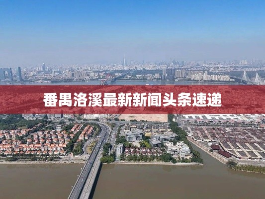 番禺洛溪最新新闻头条速递