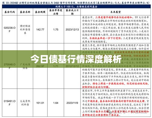 绝代佳人