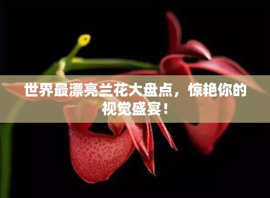 开张圣听