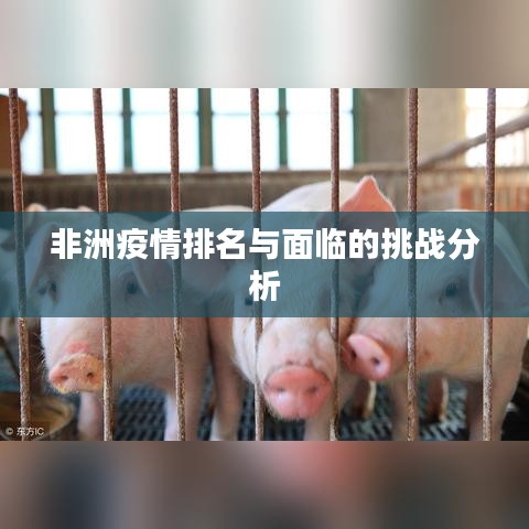 非洲疫情排名与面临的挑战分析
