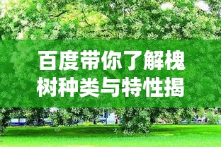 百度带你了解槐树种类与特性揭秘
