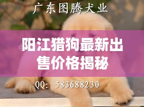 手舞足蹈