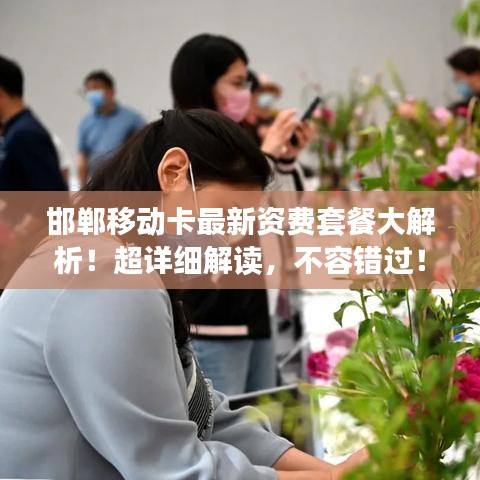 邯郸移动卡最新资费套餐大解析！超详细解读，不容错过！