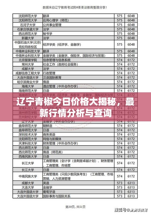辽宁青椒今日价格大揭秘，最新行情分析与查询