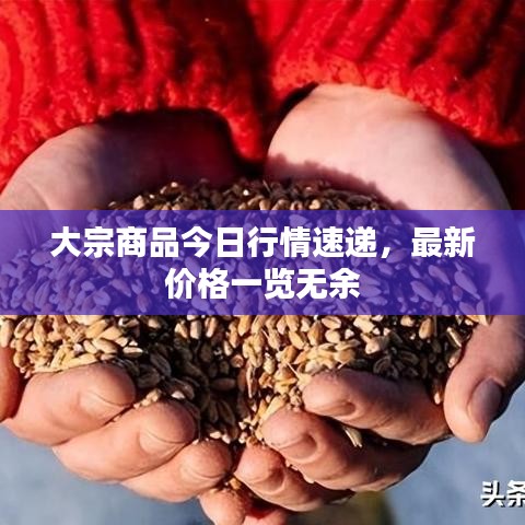 远山芙蓉