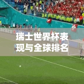 走马观花