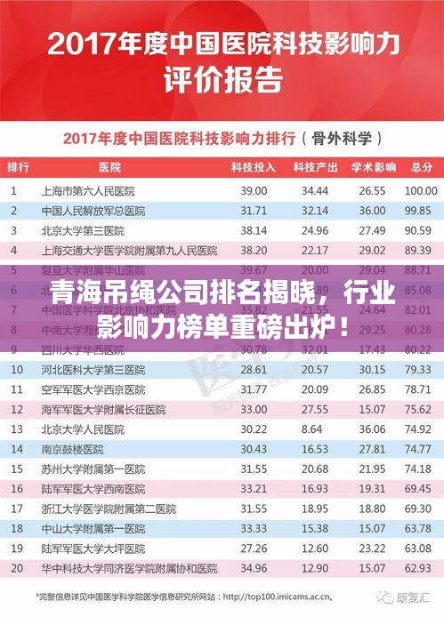 青海吊绳公司排名揭晓，行业影响力榜单重磅出炉！