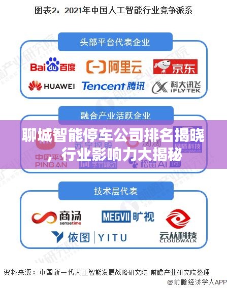聊城智能停车公司排名揭晓，行业影响力大揭秘