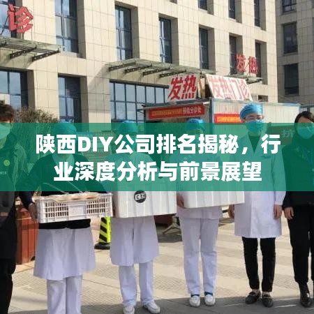 陕西DIY公司排名揭秘，行业深度分析与前景展望