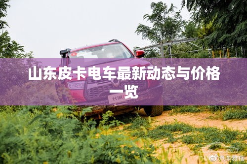 山东皮卡电车最新动态与价格一览