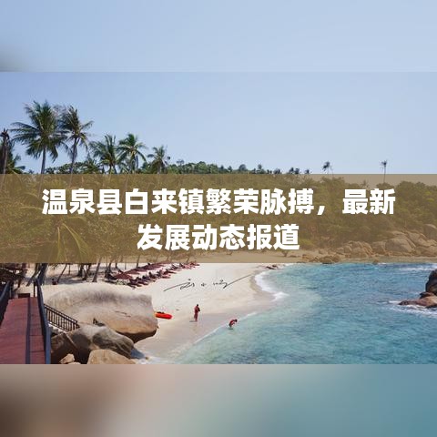 事必躬亲