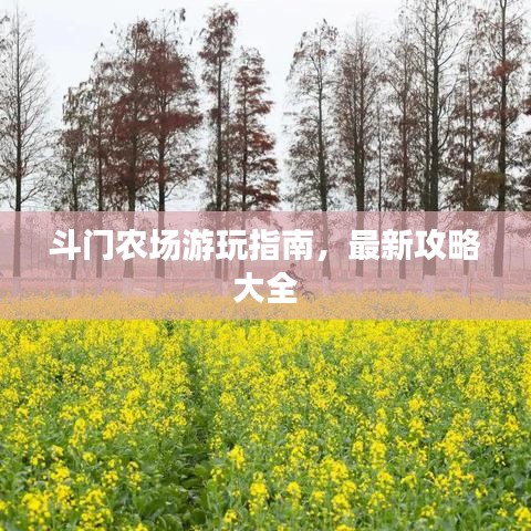 斗门农场游玩指南，最新攻略大全