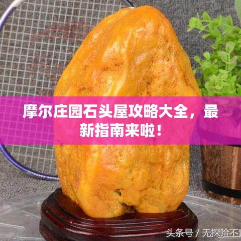 风韵犹存
