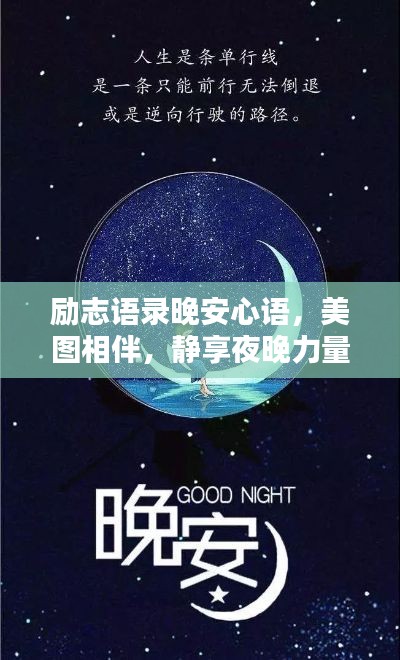 衣不兼采
