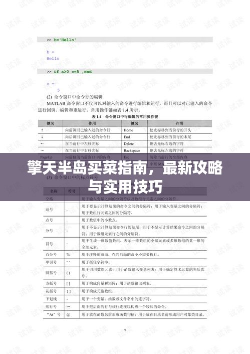 擎天半岛买菜指南，最新攻略与实用技巧