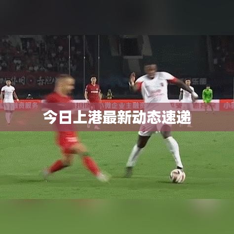 今日上港最新动态速递