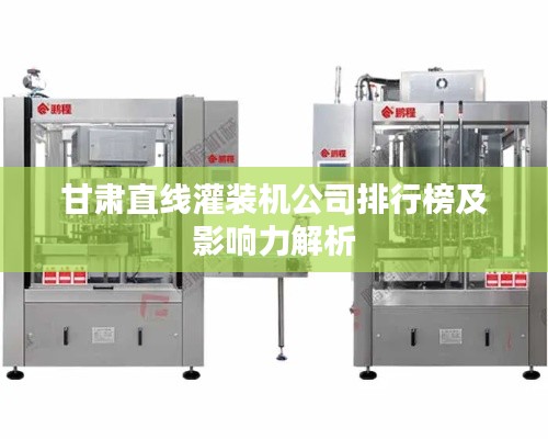 甘肃直线灌装机公司排行榜及影响力解析