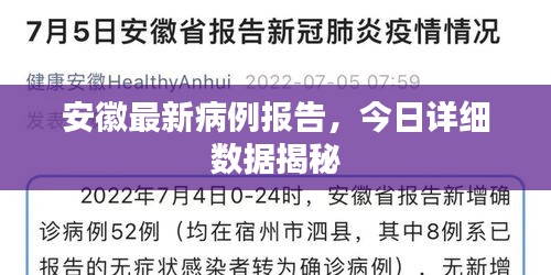 安徽最新病例报告，今日详细数据揭秘