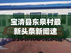 宝清县东泉村最新头条新闻速递