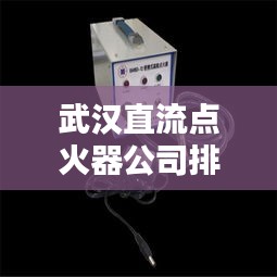 武汉直流点火器公司排行榜揭晓！