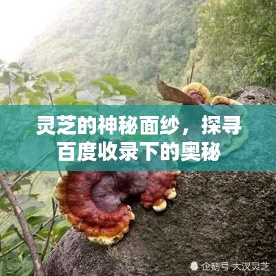 电缆桥架（各种材质） 第10页