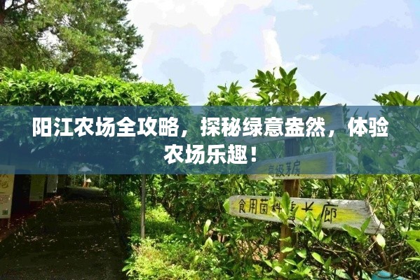 郑重其事