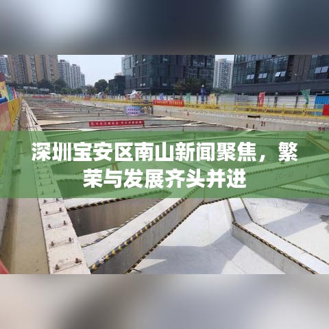 深圳宝安区南山新闻聚焦，繁荣与发展齐头并进