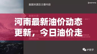 群雌粥粥
