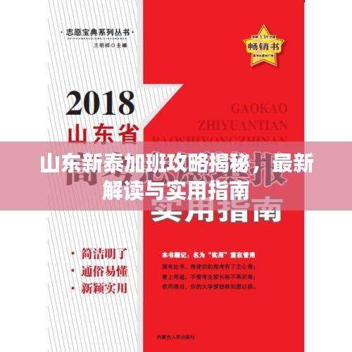 山东新泰加班攻略揭秘，最新解读与实用指南