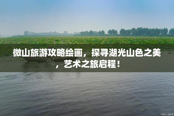 2025年5月12日 第4页