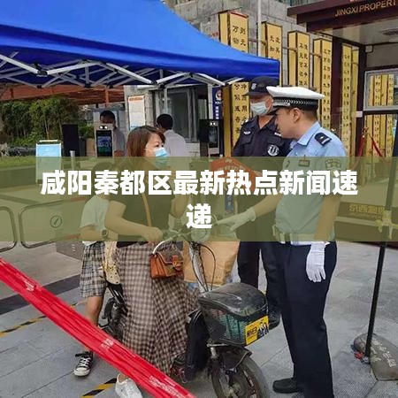 咸阳秦都区最新热点新闻速递