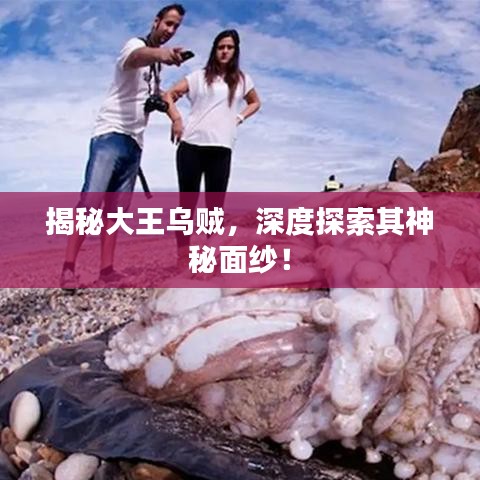 揭秘大王乌贼，深度探索其神秘面纱！