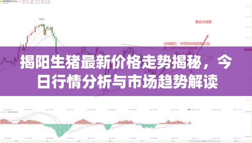 揭阳生猪最新价格走势揭秘，今日行情分析与市场趋势解读