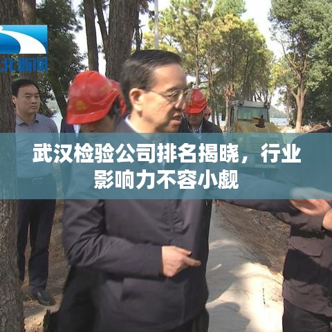 武汉检验公司排名揭晓，行业影响力不容小觑