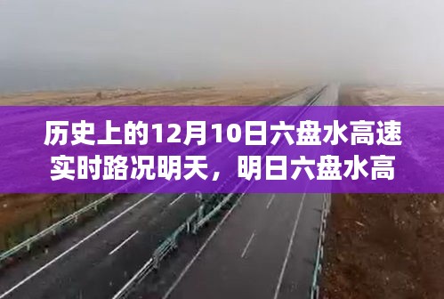 百鸟归巢 第3页
