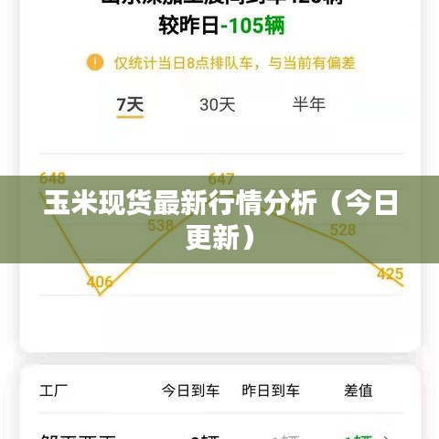 玉米现货最新行情分析（今日更新）