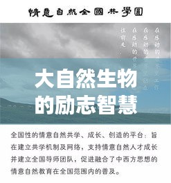 大自然生物的励志智慧语录，激发无限潜能与力量！